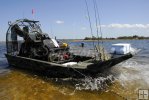 Wading away from an airboat