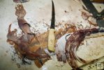 Cutting squid for bait