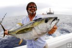 Yellowfin tuna, Louisiana oil rig