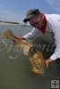 Bull redfish, Storm lure