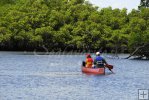 Paddlers heading out
