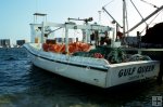 Florida gillnet boat