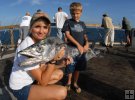 Kingfish on the pier Kingfish on the pier