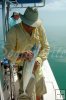 Spanish mackerel ready to unhook