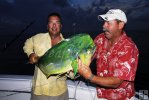 Mahi-mahi caught late