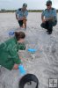 Biologist examines turtle nest
