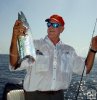 Shark-bitten kingfish