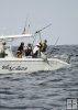Yellowfin tuna dragged aboard