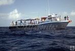 Texas partyboat offshore