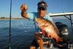 Small boat with mutton snapper