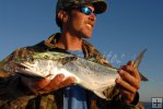 Spanish mackerel catch