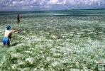 The flats of Belize