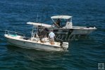 Marine Patrol checking a boat