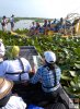 Airboat consultation