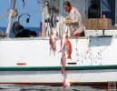 Nice catch