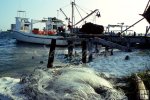 Gill netting Gill netting