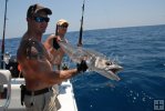 Releasing a kingfish