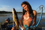 Fat mullet for dinner