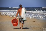 Looking for surf mullet
