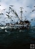 Gulf shrimpboat-1