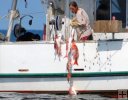 Commercial Fishing Commercial Fishing