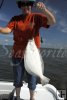 Southern flounder, female angler