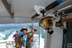 Offshore spinners