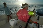The Bahamas