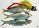 Mixed Baits
