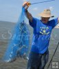 Fresh Gulf shrimp