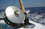 Wide-capacity fly reel