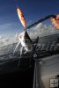 Gafftop catfish on surface plug