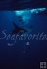 Underwater hammerhead
