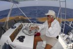 Sargassum Weed Sargassum Weed