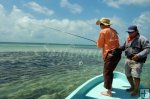 Retrieving line