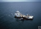 Aerial view, purse seiner