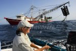 Shrimpboat fishing Shrimpboat fishing