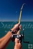 Reel almost spooled by fish