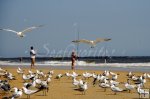 Crowded beach