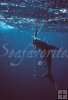 Underwater hammerhead