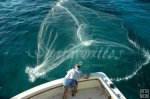 Castnet