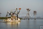 Shrimpboats Shrimpboats