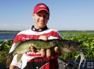 Nice pickerel!