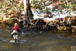 In the river