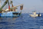 Small fishing boat and shrimpboat