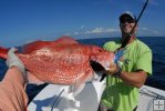 Red snapper hand-off