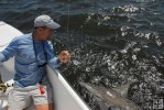Angler with bull shark