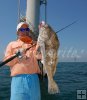 Black drum offshore Black drum offshore