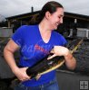Shortnose sturgeon with researcher