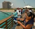 Incoming bluefish
